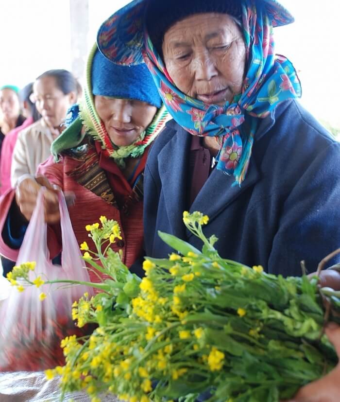 Rau cải Lào - một loại rau bà con Nhân dân trồng trong các khu rừng giáp biên giới Nghệ An đem ra chợ bán.