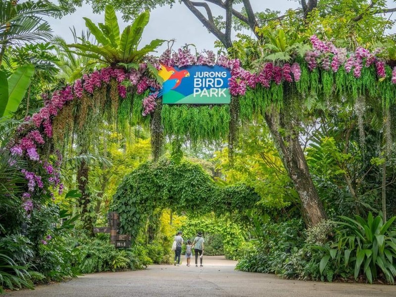 Singapore: Vườn chim Jurong sẽ đóng cửa vào đầu năm 2023
