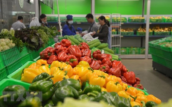 Mở rộng thị trường tiêu thụ rau quả