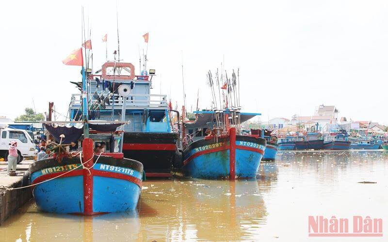 Hàng trăm tàu của ngư dân Ninh Thuận nằm bờ